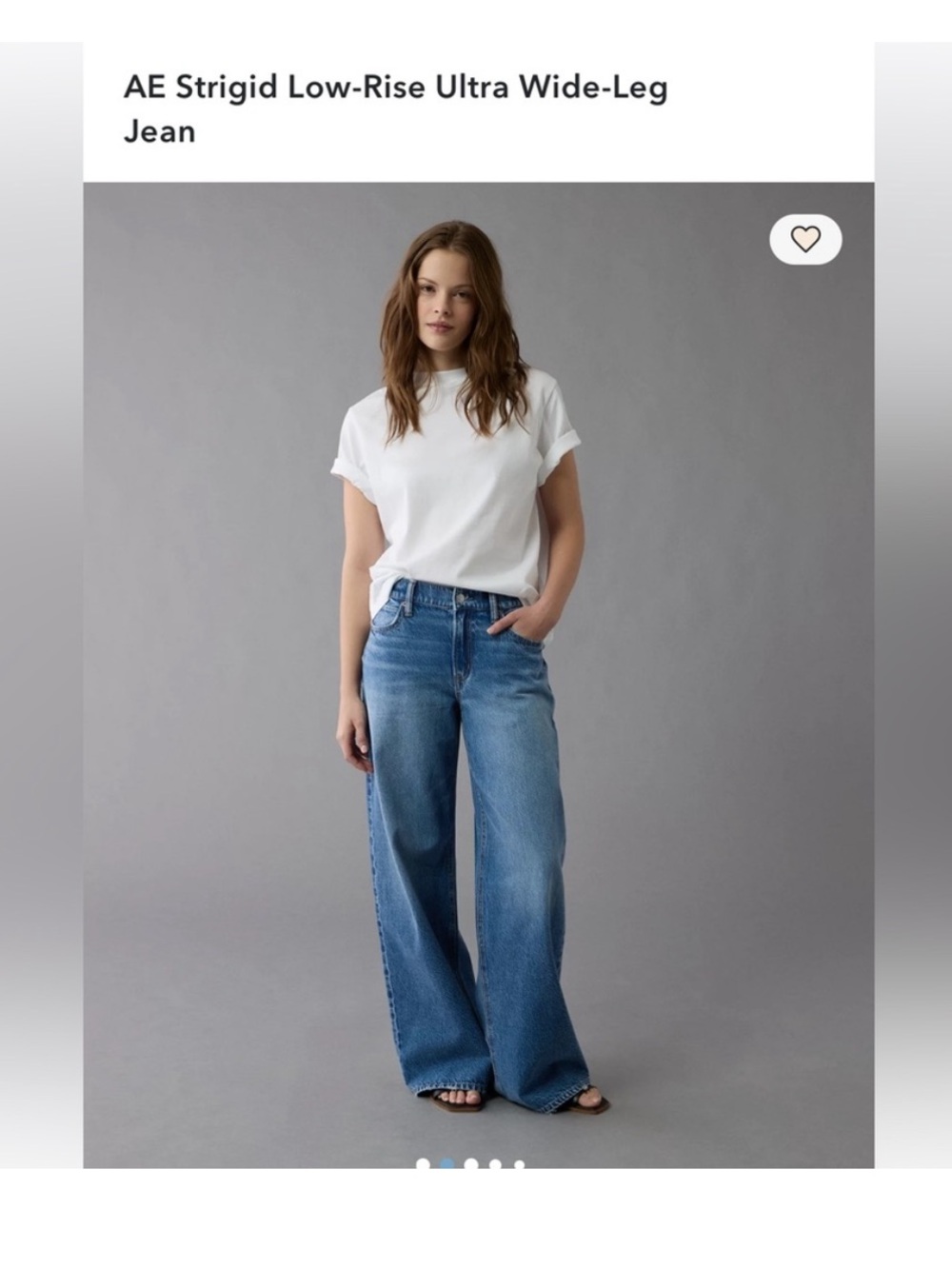 New American Eagle Strigid Low Rise Ultra Wide Leg 2